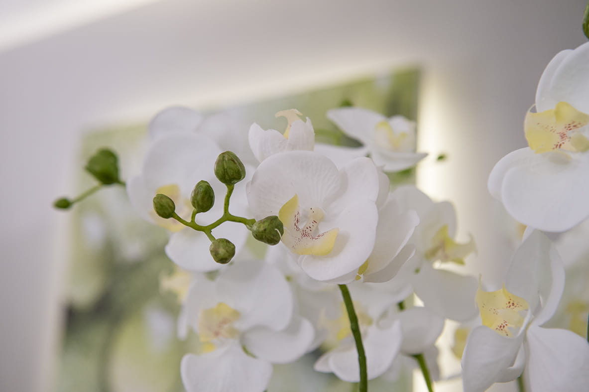 Centre Funéraire Louis DELA